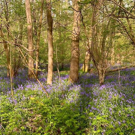 Bluebell Annexe Villa Little Grandsen Kültér fotó
